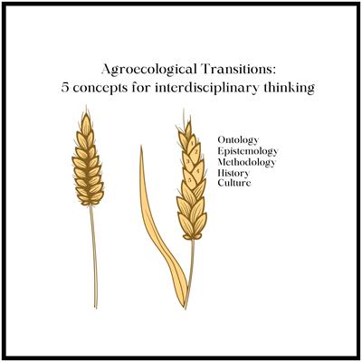 Agroecological transitions: reading, writing, and thinking across disciplinary divides